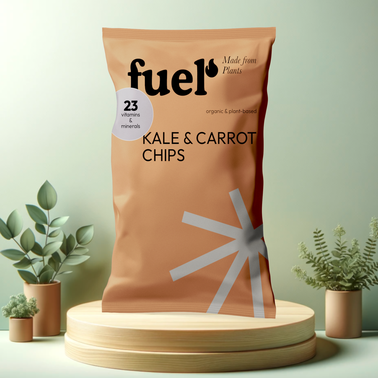 Kale & Carrot Chips